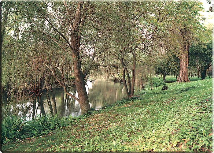 Sile